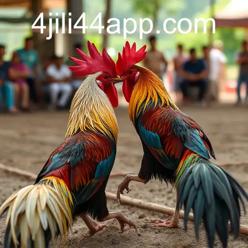 Exploring Sabong Games and Their Digital Transformation through the jili44 App